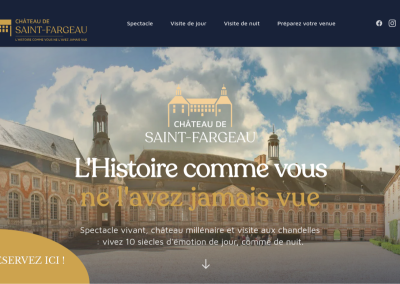 Château de Saint-Fargeau